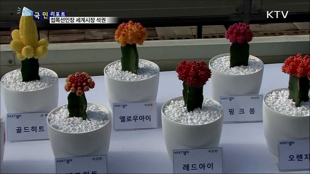 국산 접목선인장···세계시장 70% 점유