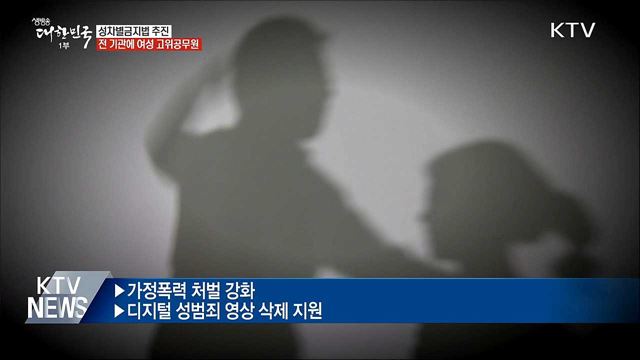성차별금지법 제정···가정폭력 처벌 강화