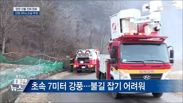 양양 산불 진화···산림 20ha 소실 추정