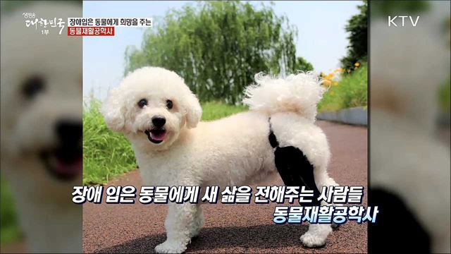 장애 동물에게 희망을 안겨주는 동물재활공학사 [사람中心 일자리가 뜬다]