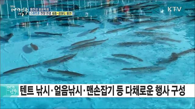 다양한 체험·인삼송어가 함께! 홍천강 꽁꽁축제