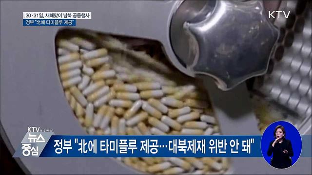 이달 말 금강산서 새해맞이 남북 공동행사 개최