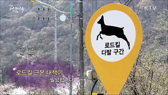 로드킬 근본 대책이 필요합니다 [정책 TALKTALK]]