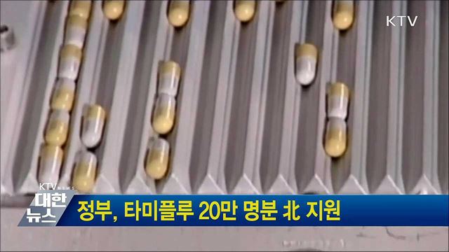 정부, 타미플루 20만 명분 北 지원