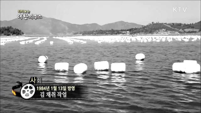 다시보는 대한늬우스 (84. 1. 13)