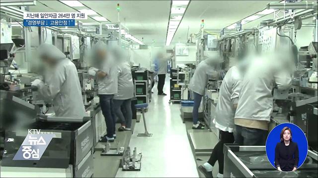 일안자금 264만 명 지원···"경영부담↓ 고용안정↑"