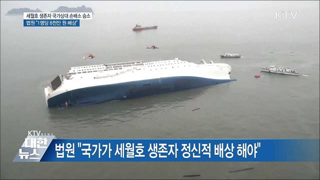 세월호 생존자 국가상대 손배소 승소