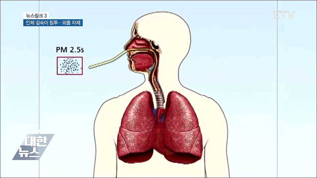 초미세먼지 [뉴스링크]