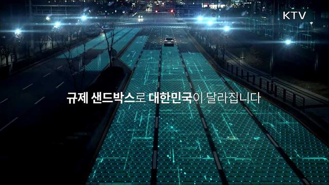 규제샌드박스 - 국무조정실