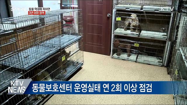 동물 학대해 죽이면 '3년 이하 징역'