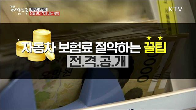 자동차보험료 남들보다 적게 내는 방법 [정책톡! 돈이툭!]