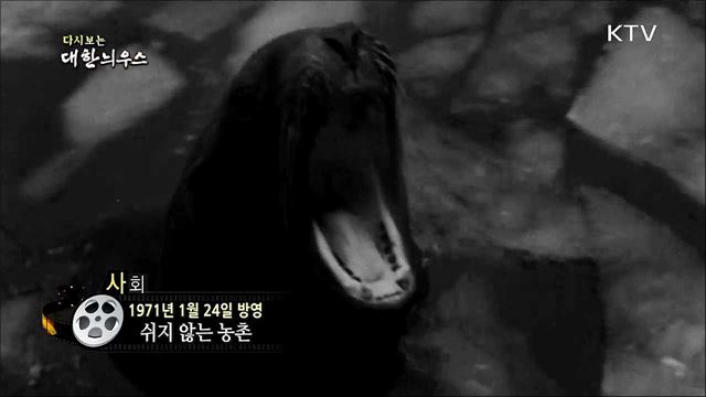 다시보는 대한늬우스 (71. 1. 24)