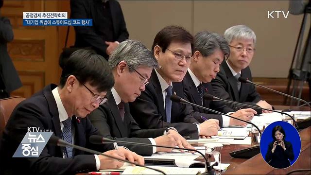 "대기업 탈법에 스튜어드십 코드 적극 행사"