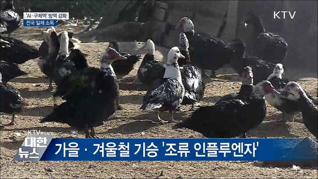 겨울철 기승 'AI·구제역'···설 앞두고 '일제 소독'
