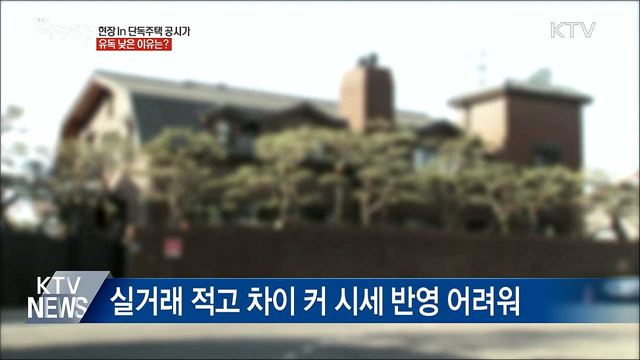 유독 낮은 단독주택 공시가격, 왜?