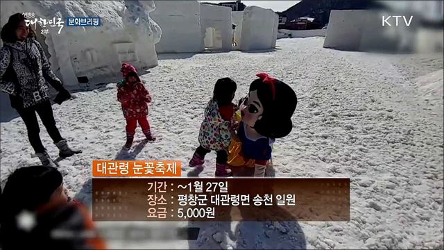 은빛 설원의 겨울 왕국···'대관령 눈꽃 축제' [문화브리핑]