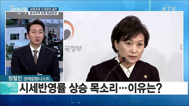 공평과세·조세정의 실현···공시가격 조정 파급효과 [경제&이슈]