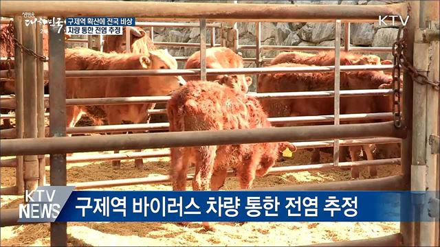"축산차량 통한 전염 추정"···구제역 비상