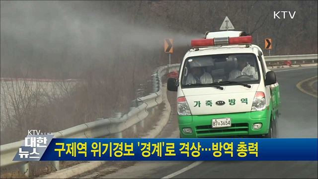 구제역 위기경보 '경계'로 격상···방역 총력