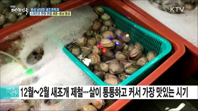 싱싱한 새조개와 풍성한 체험! 홍성 남당항 새조개축제