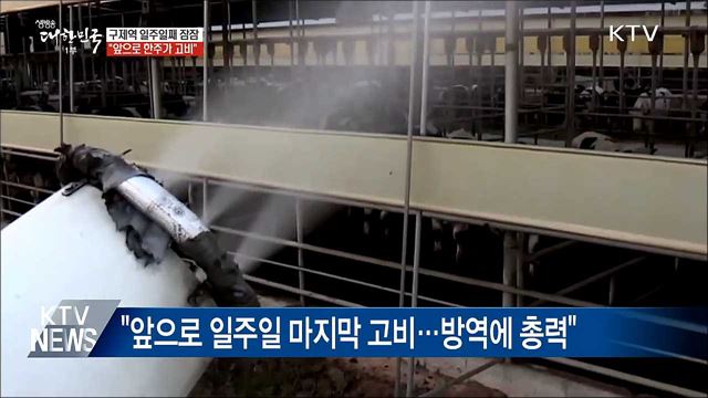 구제역 일주일째 잠잠···"앞으로 한주가 고비"