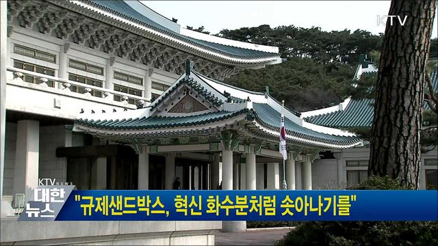 "규제샌드박스, 혁신 화수분처럼 솟아나기를"