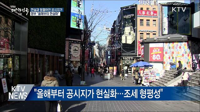 현실과 동떨어진 공시지가···"올해부터 현실화"