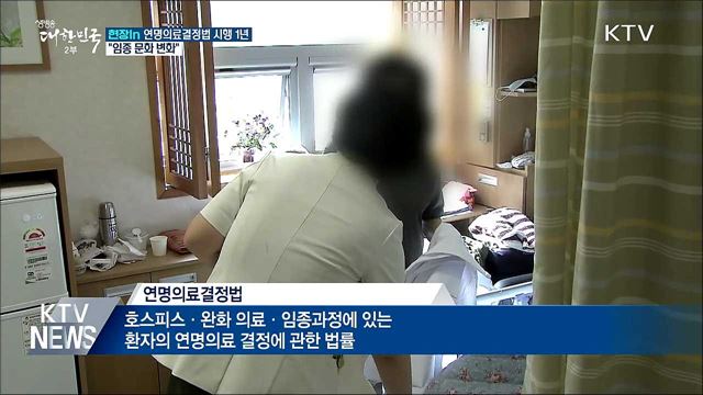 "존엄한 죽음 선택"···11만 명 의향서 작성 [현장in]