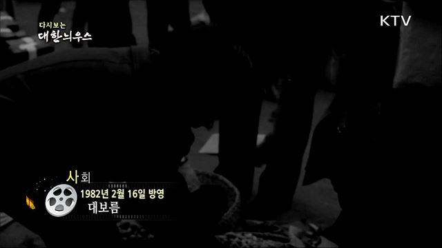 다시보는 대한늬우스 (82. 2. 16)