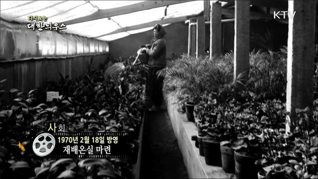 다시보는 대한늬우스 (70. 2. 18)