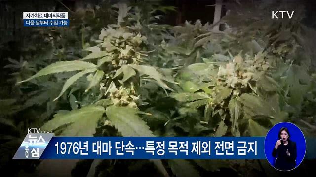자가치료 대마의약품 3월부터 수입 가능