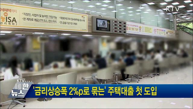 '금리상승폭 2%p로 묶는' 주택대출 첫 도입