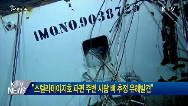 "스텔라데이지호 파편 주변 사람 뼈 추정 유해발견"