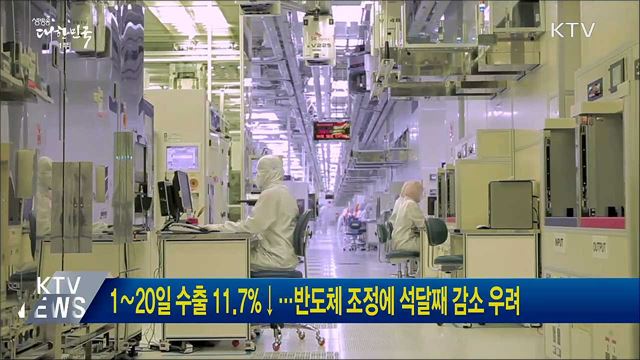1∼20일 수출 11.7%↓···반도체 조정에 석달째 감소 우려