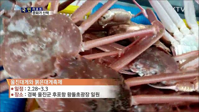 이주의 문화가 산책 (19. 02. 21. 07시)