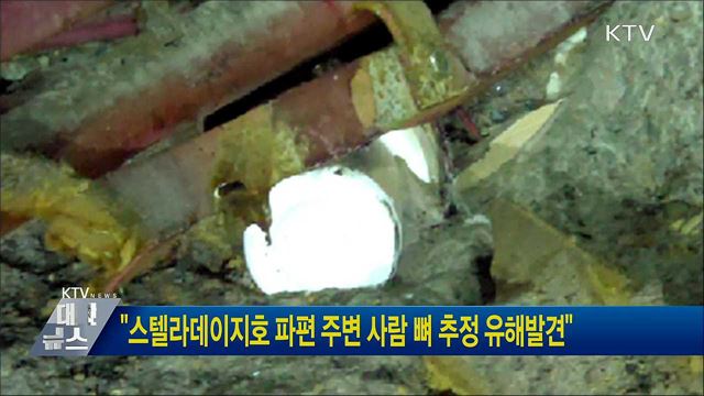 "스텔라데이지호 파편 주변 사람 뼈 추정 유해발견"
