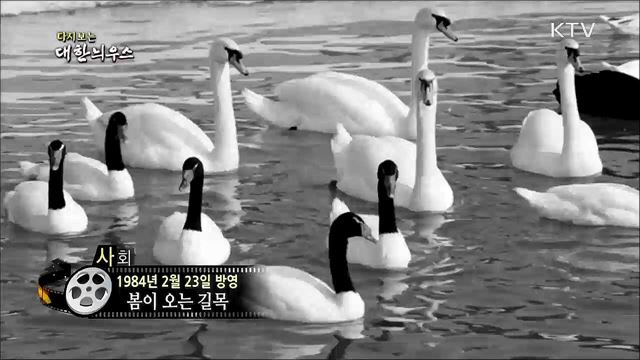 다시보는 대한늬우스 (84. 2. 23)