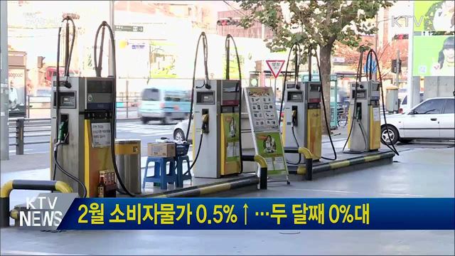 2월 소비자물가 0.5%↑···두 달째 0%대