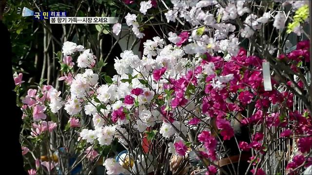 완연한 봄빛 물씬···시장 나들이객 북적