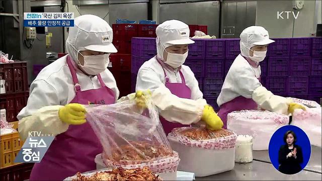 국산 김치 '안정 공급·우수 종균 개발' [현장in]