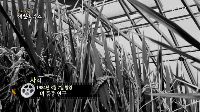 다시보는 대한늬우스 (84. 3. 7)