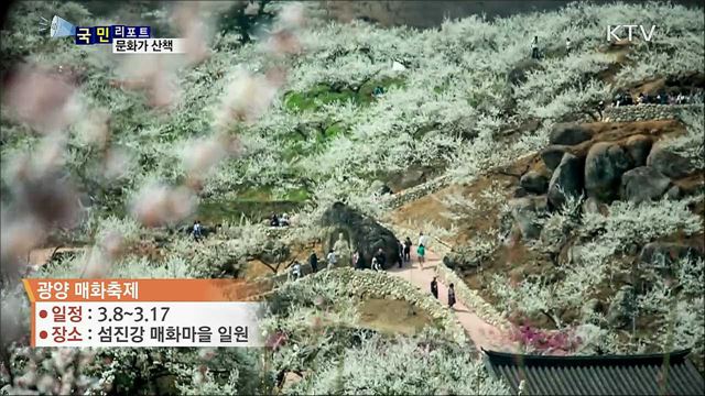 이주의 문화가 산책