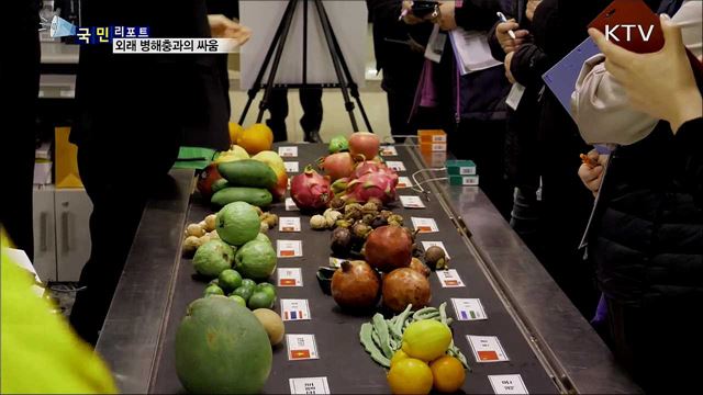 인천공항 식물검역 체험···외래 병해충과의 싸움