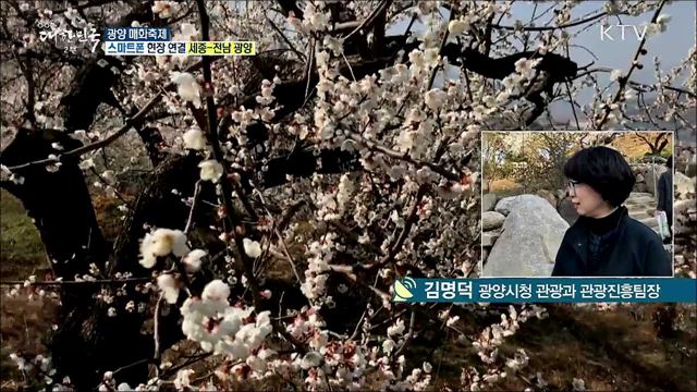 봄을 알리는 매화의 손짓···광양 매화축제