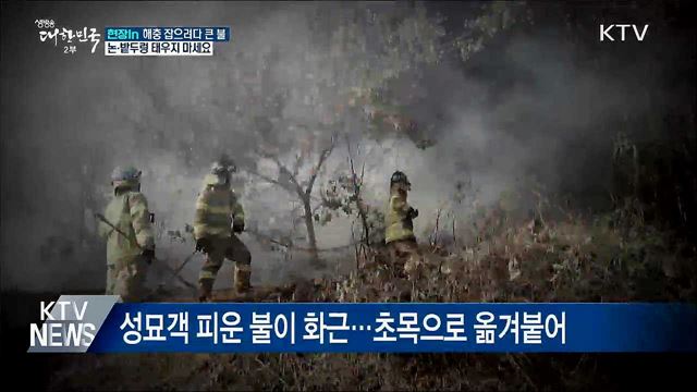 논·밭두렁 태워 해충 잡으려다 '큰불' [현장in]