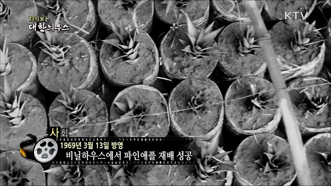 다시보는 대한늬우스 (69. 3. 13)