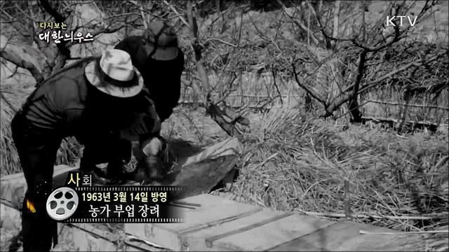 다시보는 대한늬우스 (63. 3. 14)