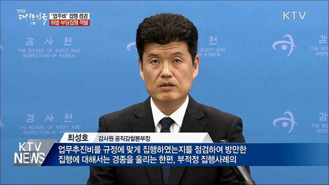 '업추비' 부당 집행 35건···관련자 징계 요청