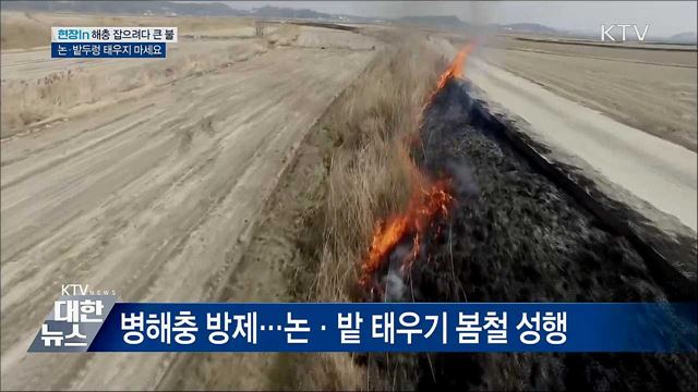 논·밭두렁 태워 해충 잡으려다 '큰불' [현장in]