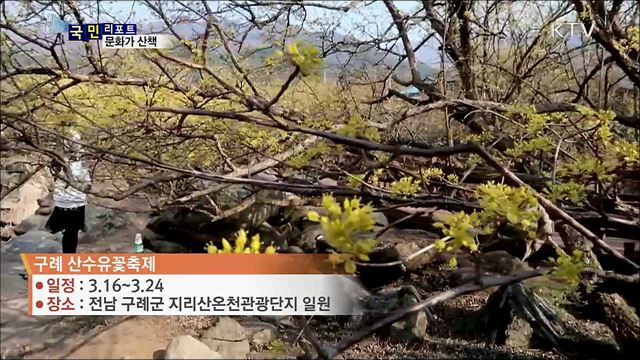 이주의 문화가 산책 (19. 03. 14. 7시)